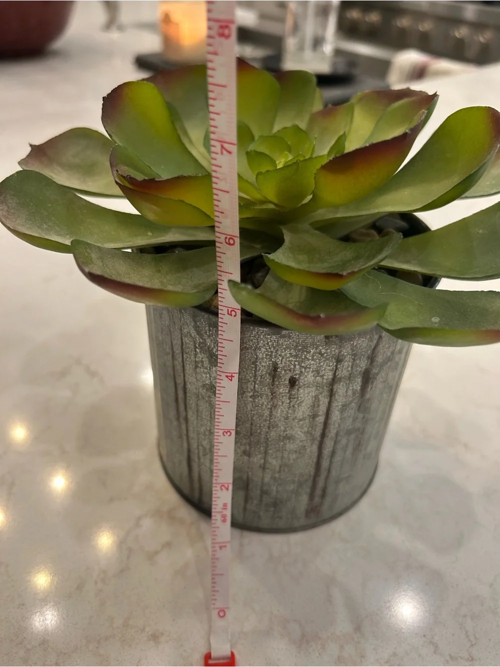 New Kirklands Green Succulent with Red-Tipped Leaves in Metal Pot